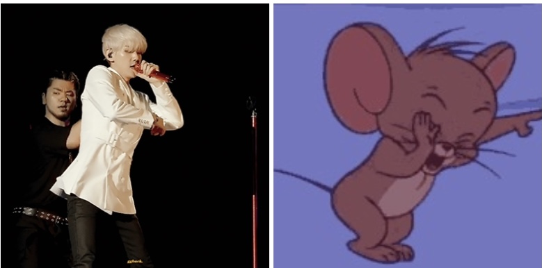 [잡담] 내 갤러리에 이렇게 움짤 두개 나란히 있는데(길잃아님) | 인스티즈