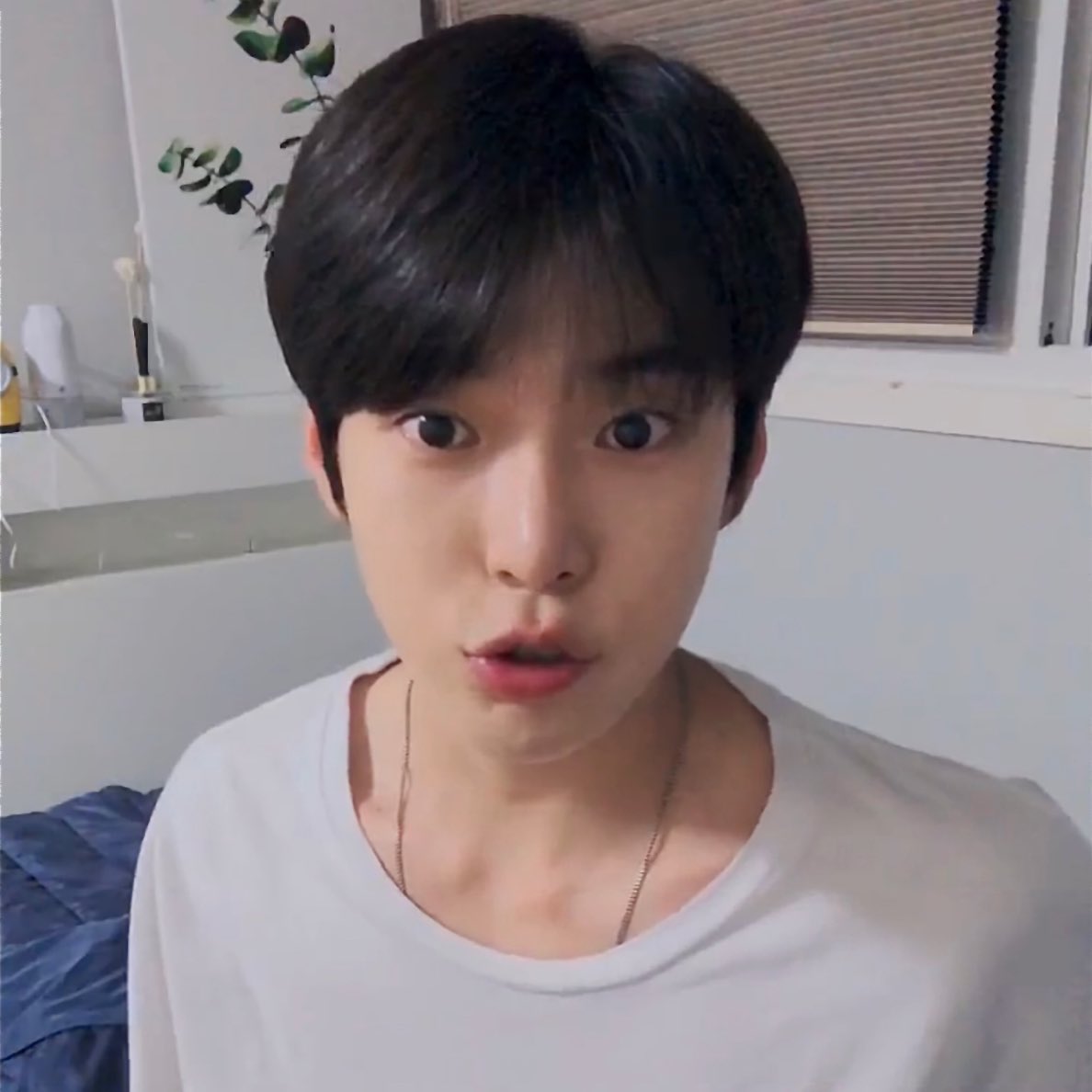 [잡담] 우리 도영이 사진 놓고 가용.. | 인스티즈