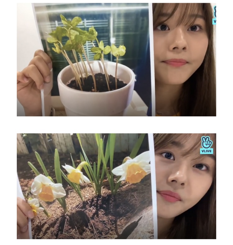 [잡담] 사진관 컨셉 브이앱 이렇게 하는거 맞아? | 인스티즈