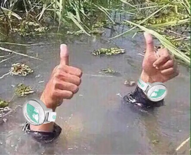 [잡담] 얘들아 영케이 일렉기타에서 데이식스… 이번 컴백 됐다 끝났다 | 인스티즈