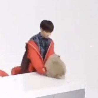 [잡담] 더비들 이상한 더보이즈를 좋아하네 | 인스티즈