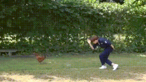 [잡담] 이거 누구야...? ㅋㅋㅋㅋㅋㅋㅋㅋㅋ | 인스티즈