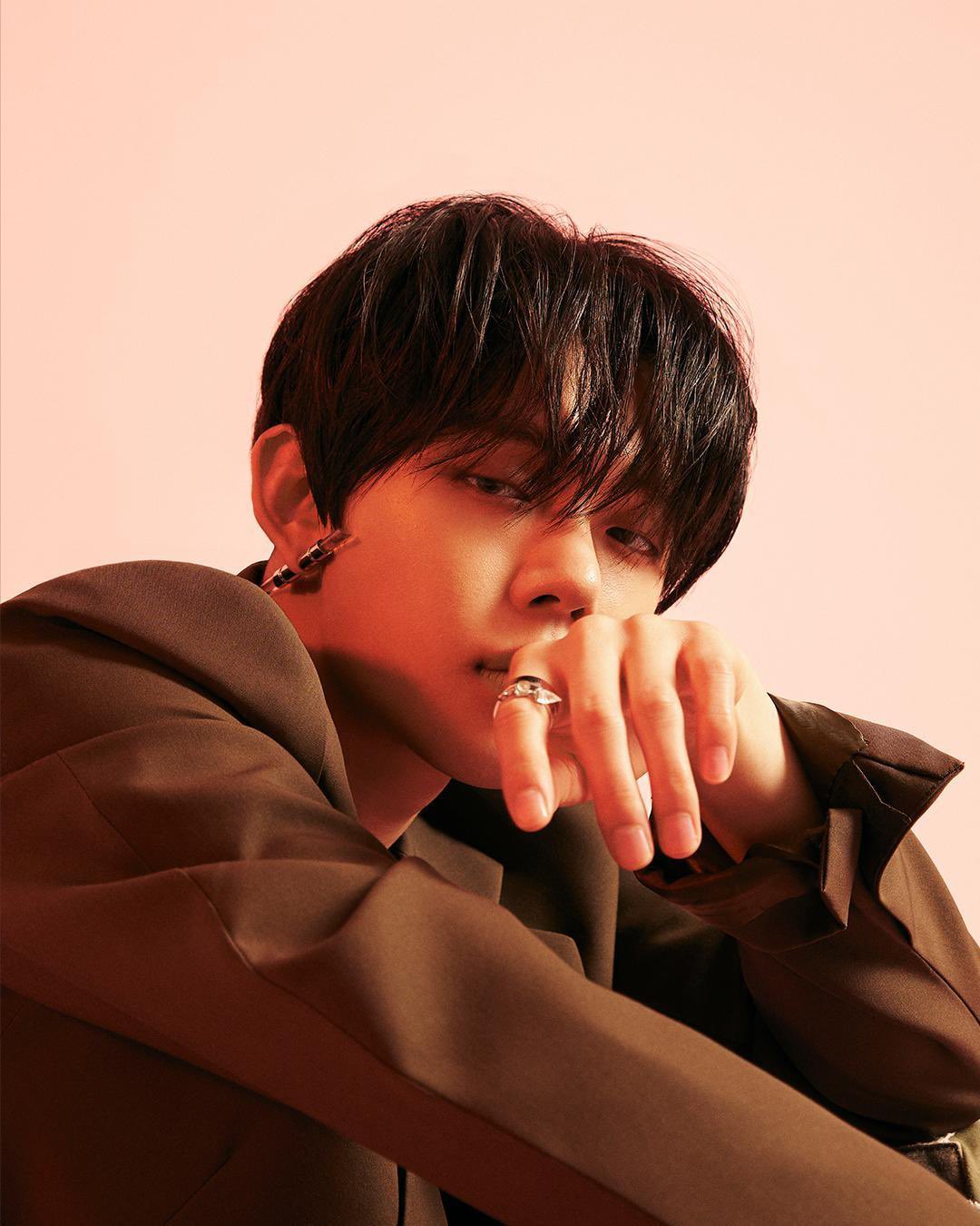 [잡담] 내 취향은 어떤상인지 가감없이 말해줘 ㅜ 소나무인가? | 인스티즈