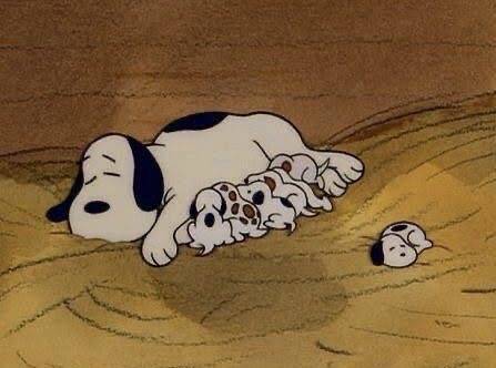 익들아 애기 스누피 본 적 있음?? 심장주의ㅜㅠ | 인스티즈