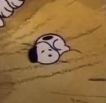 익들아 애기 스누피 본 적 있음?? 심장주의ㅜㅠ | 인스티즈