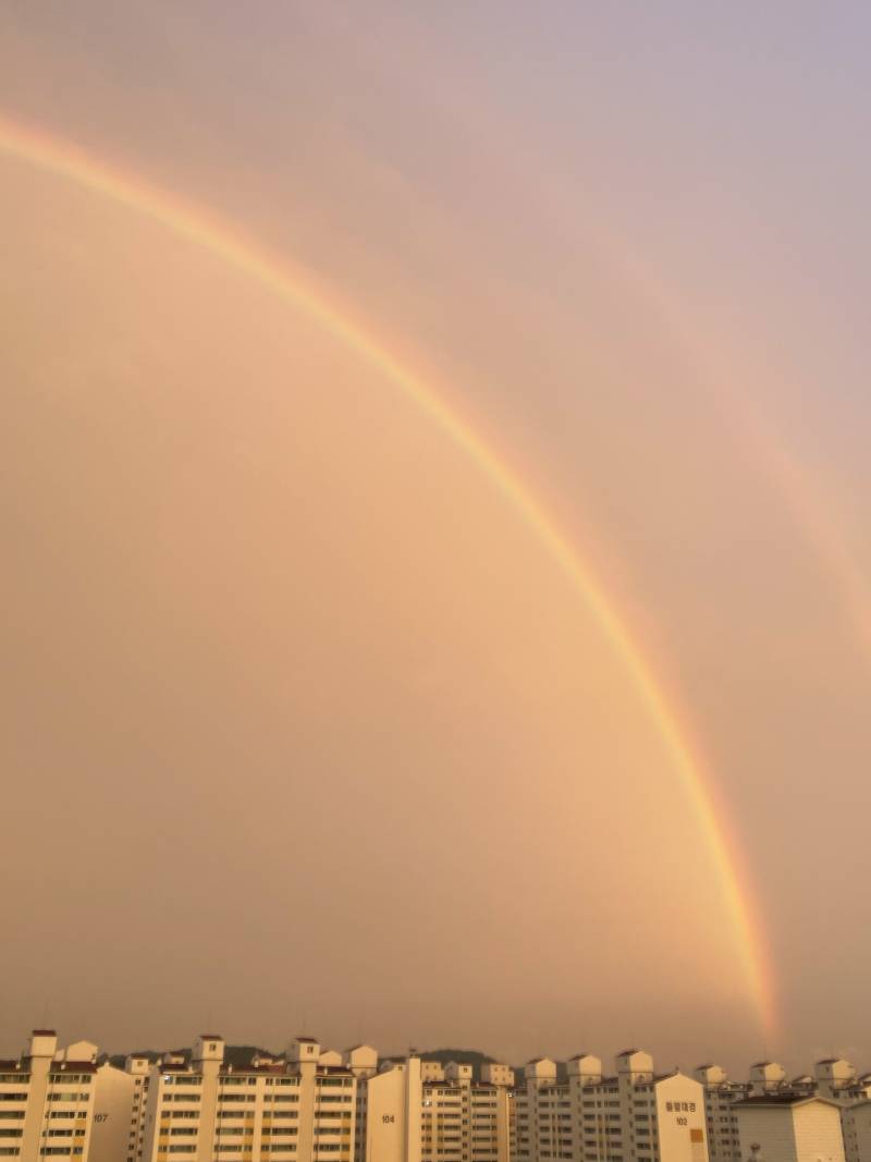와 무지개 떴다! | 인스티즈