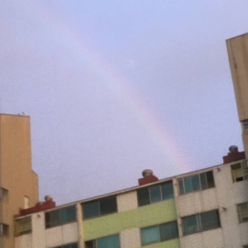 다들 지금 밖에봐봐 | 인스티즈