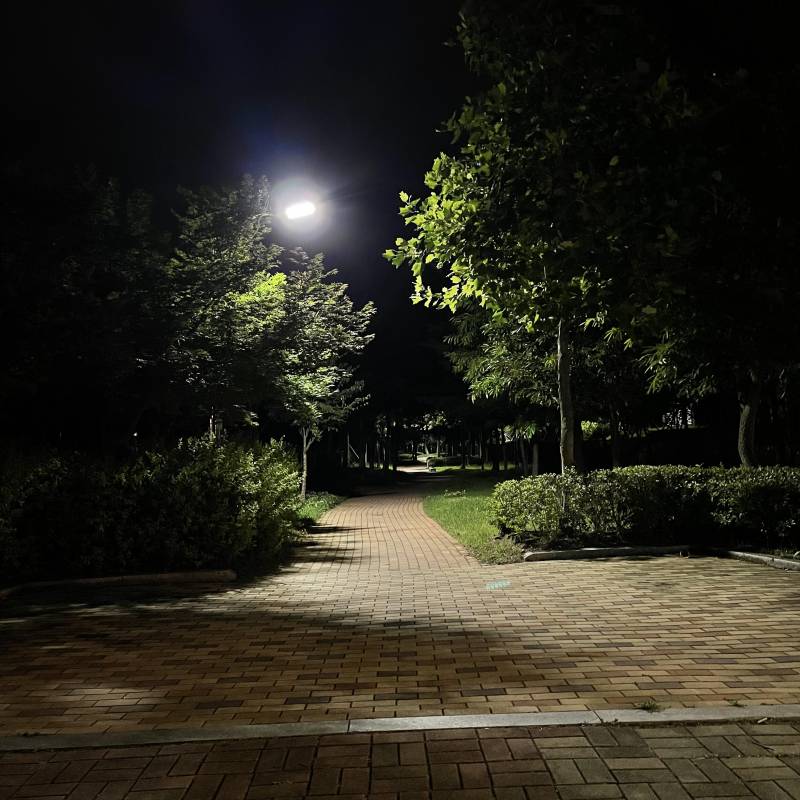 산책하는데 | 인스티즈