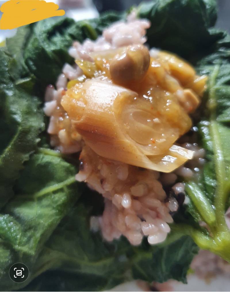 새벽에 호박잎 먹는중... | 인스티즈