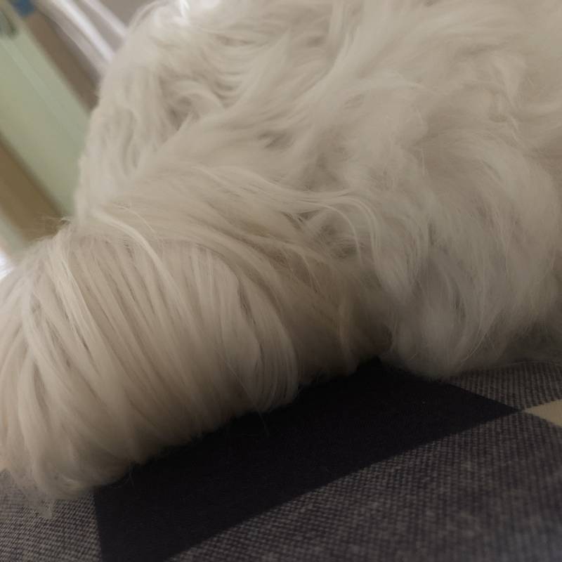 눈 뜨자마자 보이는ㄱㅓ | 인스티즈