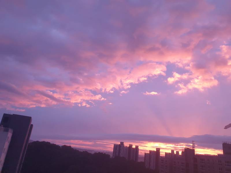 오늘 하늘 예쁘길래 찍었는데 | 인스티즈