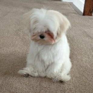 아 6시간뒤에 성적나와 | 인스티즈