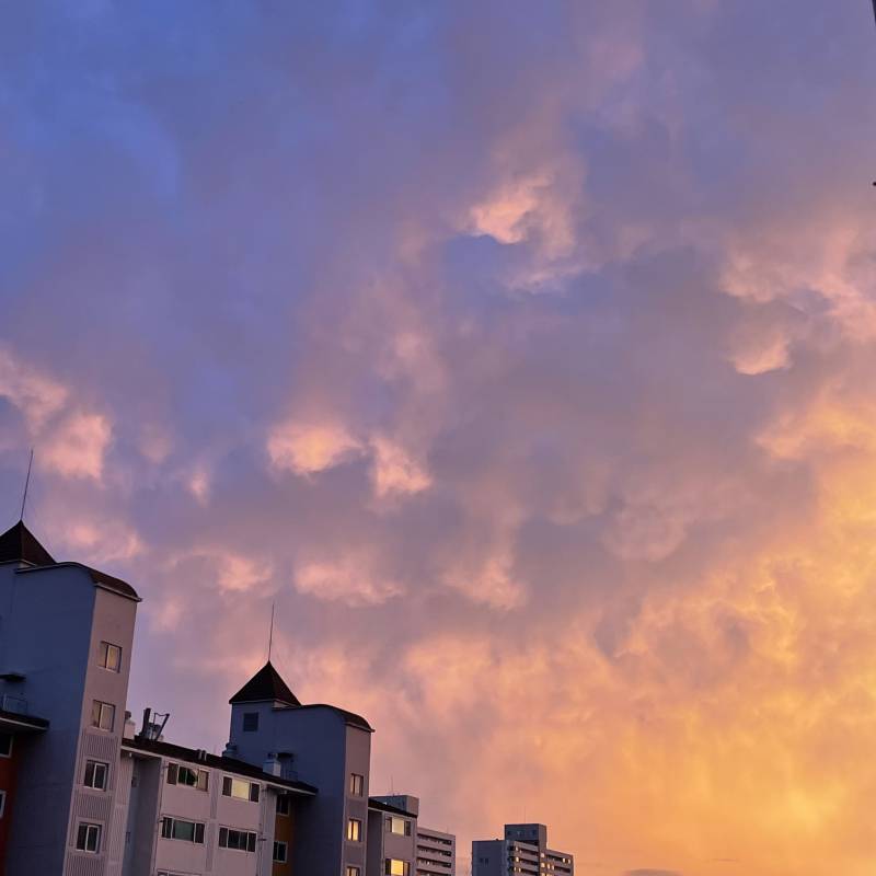 사진에 있는 아파트 지워 줄 사람…ㅠ 제발루~ | 인스티즈