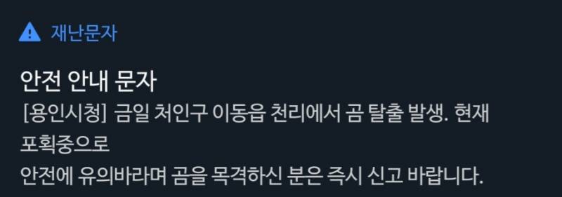 우리지역 곰 탈출했대 | 인스티즈