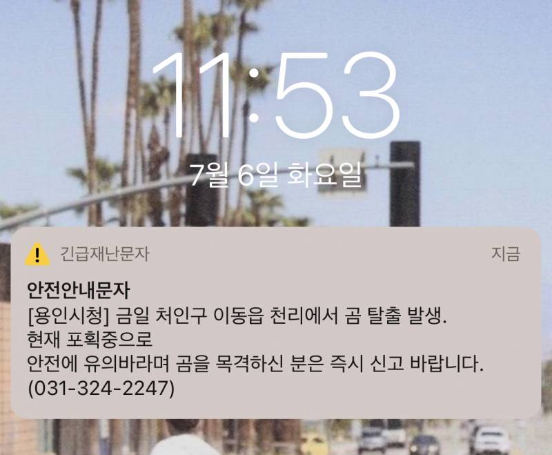 오잉 곰 탈출!? | 인스티즈