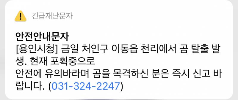 당황스럽다 용인 재난문자 | 인스티즈