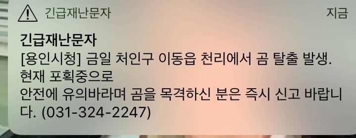 익들아 우리 동네 곰 탈출 해서 돌아다녀 ...... | 인스티즈