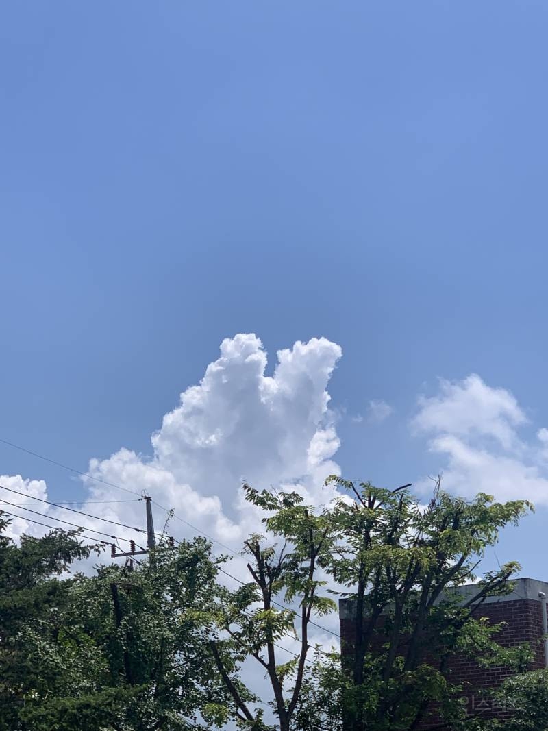 토끼 모양 구름🐰🐰.,jpg | 인스티즈