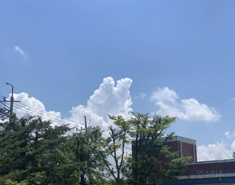 토끼 모양 구름🐰🐰.,jpg | 인스티즈