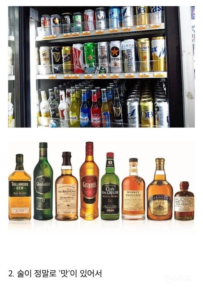 알쓰들이 술을 좋아하는 사람들에게 찐으로 궁금한 것.jpg | 인스티즈