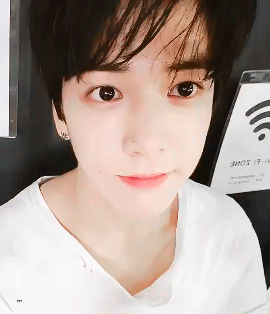 [잡담] 아기덥뮤다❤️ | 인스티즈