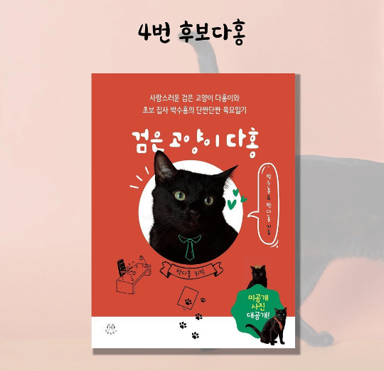 에세이 출판 앞둔 고양이 다홍이 책 표지 후보 | 인스티즈