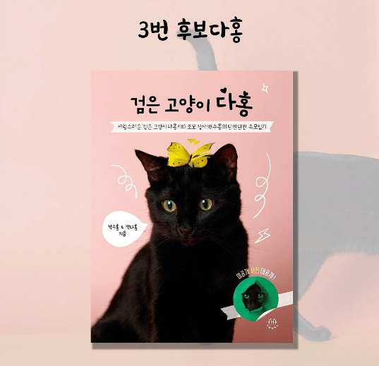 에세이 출판 앞둔 고양이 다홍이 책 표지 후보 | 인스티즈