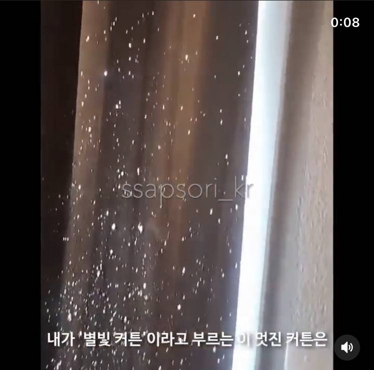 고양이 키우는 익들있어? | 인스티즈