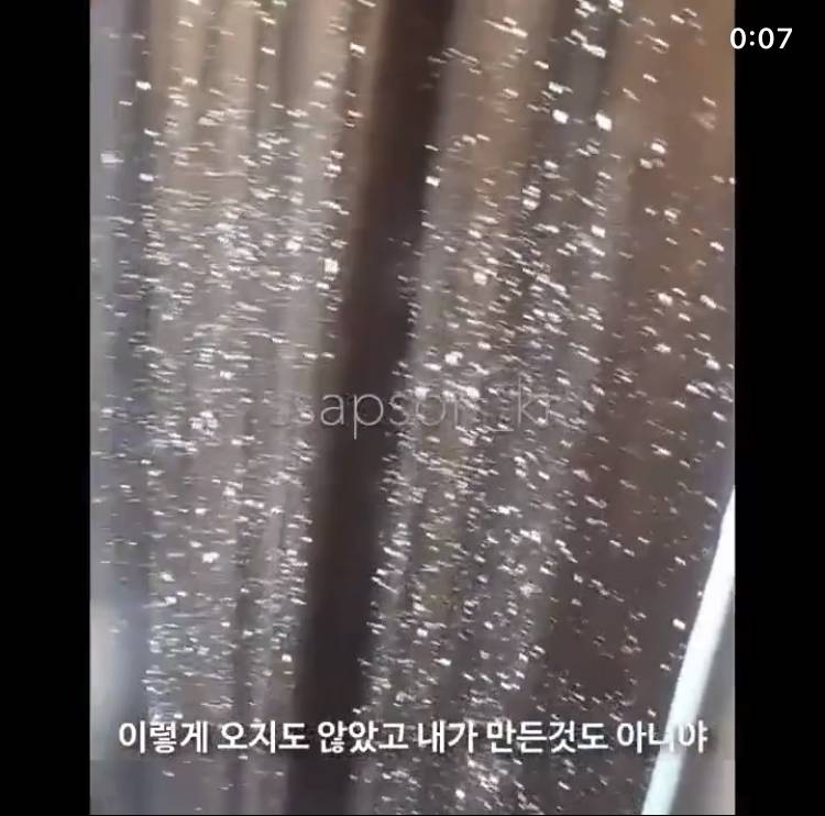 고양이 키우는 익들있어? | 인스티즈