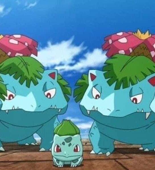 이거 누가 남자 양궁팀이래ㅠㅠ 귀엽지ㅠㅠ | 인스티즈