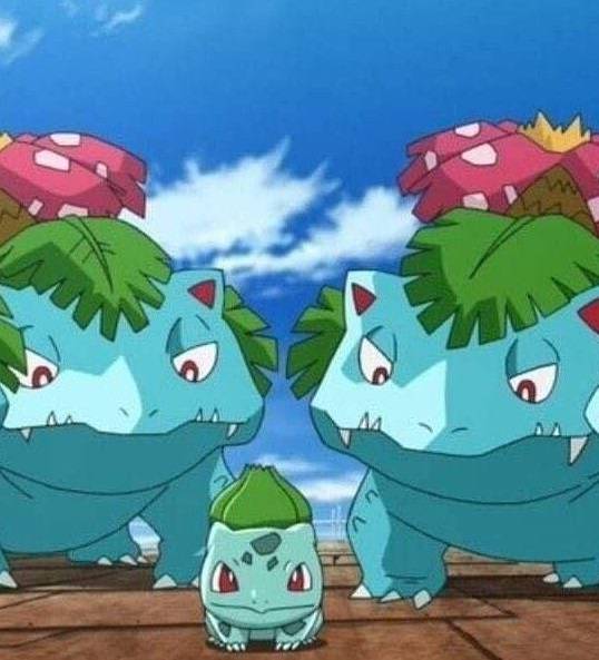 대만선수님이 제덕이 머리위로 꽃 올려주시넼ㅋㅋㅋㅋㅋㅋㅋㅋㅋㅋㅋ 찐 포켓몬같을듯 | 인스티즈