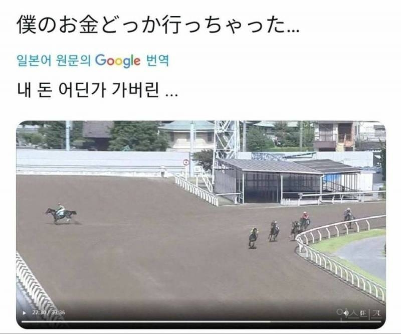 경마를 하면 안 되는 이유 | 인스티즈