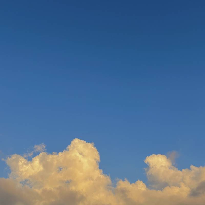 익들아 예쁜 거 보고 힘내좌❛˓◞˂̵   | 인스티즈