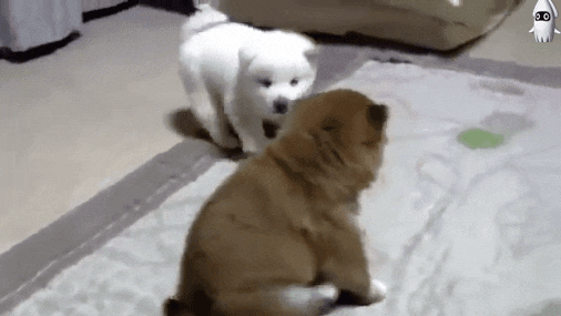 우리가 아는 태권도 | 인스티즈