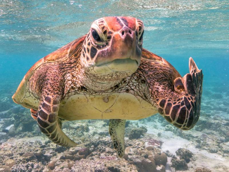 내친구다 | 인스티즈