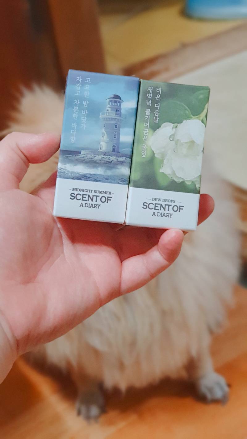 기분전환 하고플 때 집에서 뿌리려고 다이소 향수 사옴 | 인스티즈