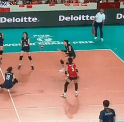 하진짜 개개개객깨 웃기메ㅜㅠㅜㅜ 과제 진도 안나가서 머리 때리는 시험기간 내 모습임 이거 | 인스티즈