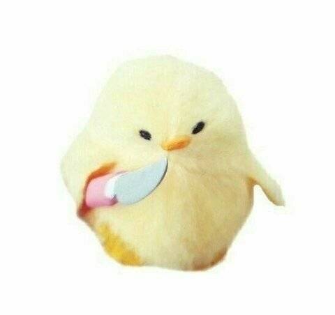 다이어트 어짜피 다 먹고 살려고 하는건데 어늘 치킨 먹어도 되겠지? | 인스티즈