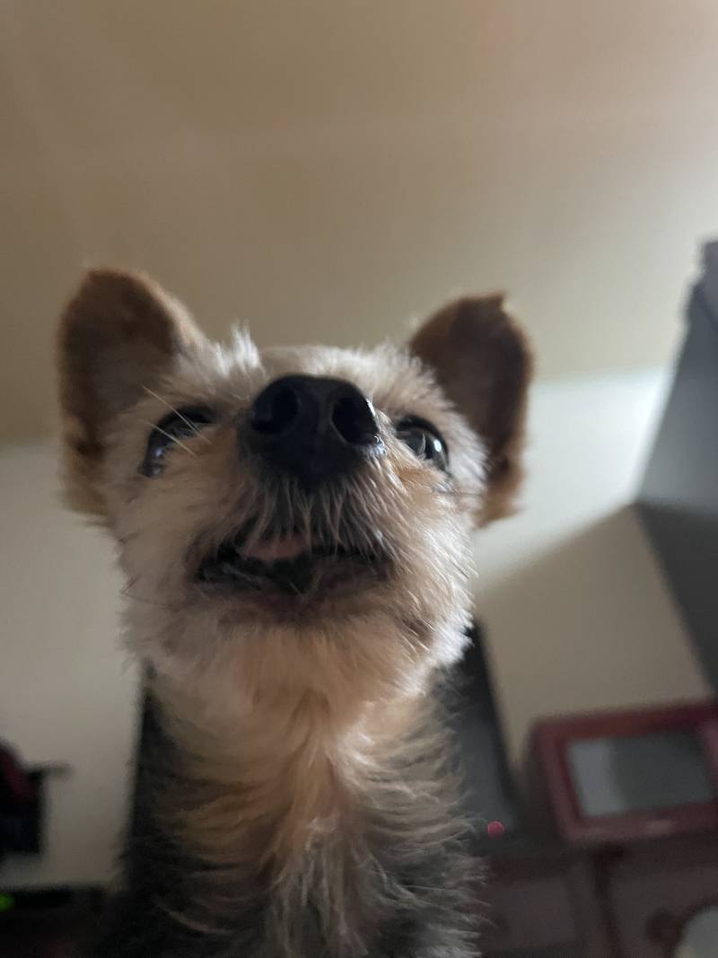 뭔가 쿼카처럼 나오지 않았어??? | 인스티즈