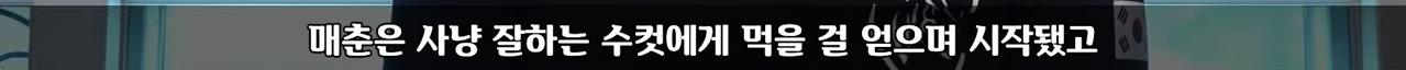 비키니 입고 경기하라고?? 스포츠가 눈요기야?? | 인스티즈
