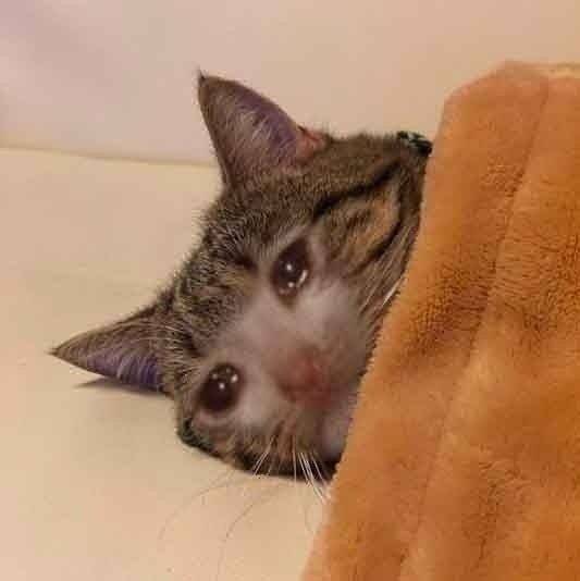 갑자기 통장에 50억 들어오면 뭐할거임??? | 인스티즈