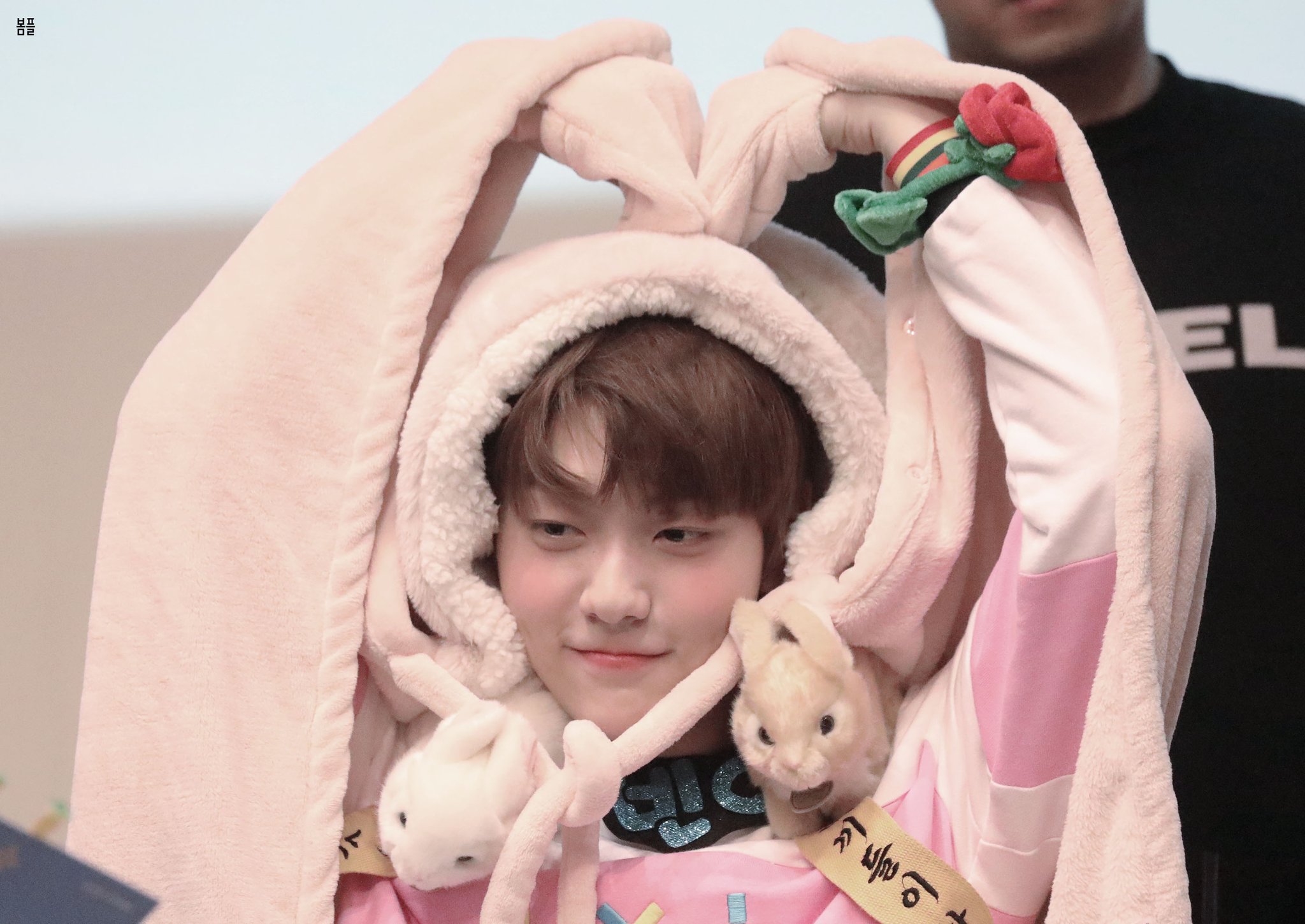 [잡담] 투바투 내 늑끼(늑대+토끼) | 인스티즈