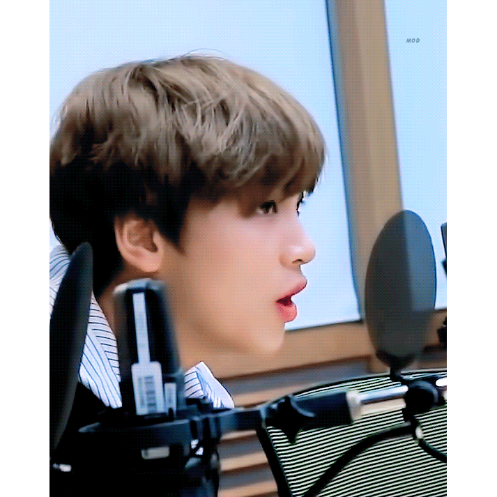 [잡담] 내 남돌 취향 나름 소나무 같아 | 인스티즈