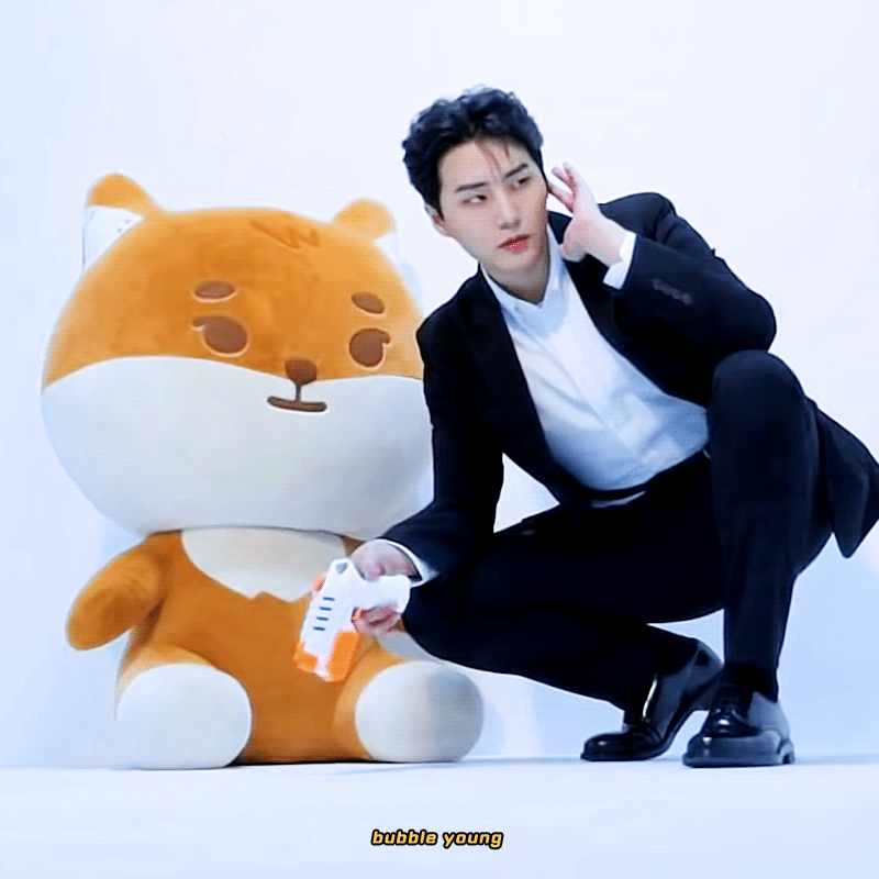 [잡담] 물총 들고 여우 인형 경호하는 고양이 제법 멋져요 | 인스티즈