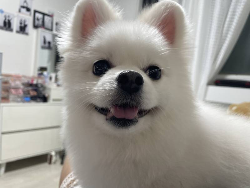 나두 내 남친 | 인스티즈