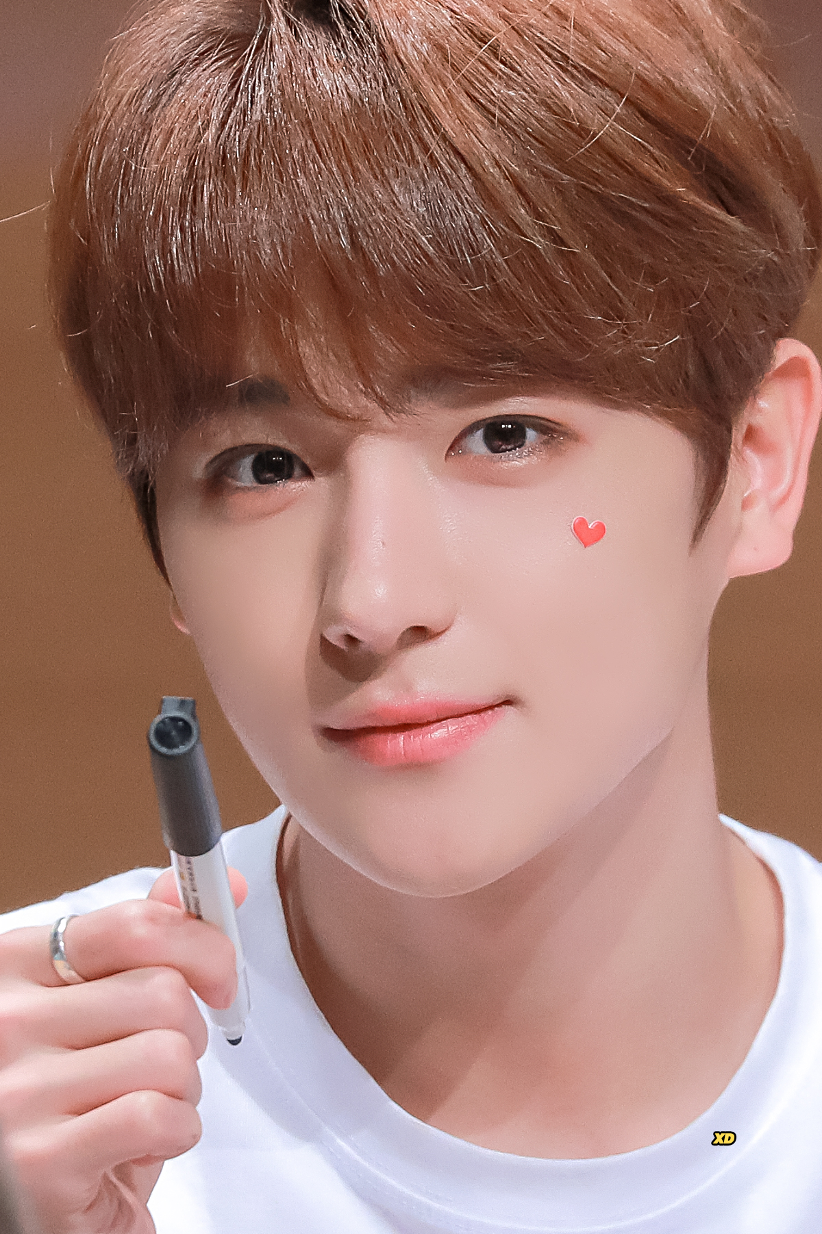 [정리글] 더보이즈 현재 고소해야 하는 진짜 이유 | 인스티즈