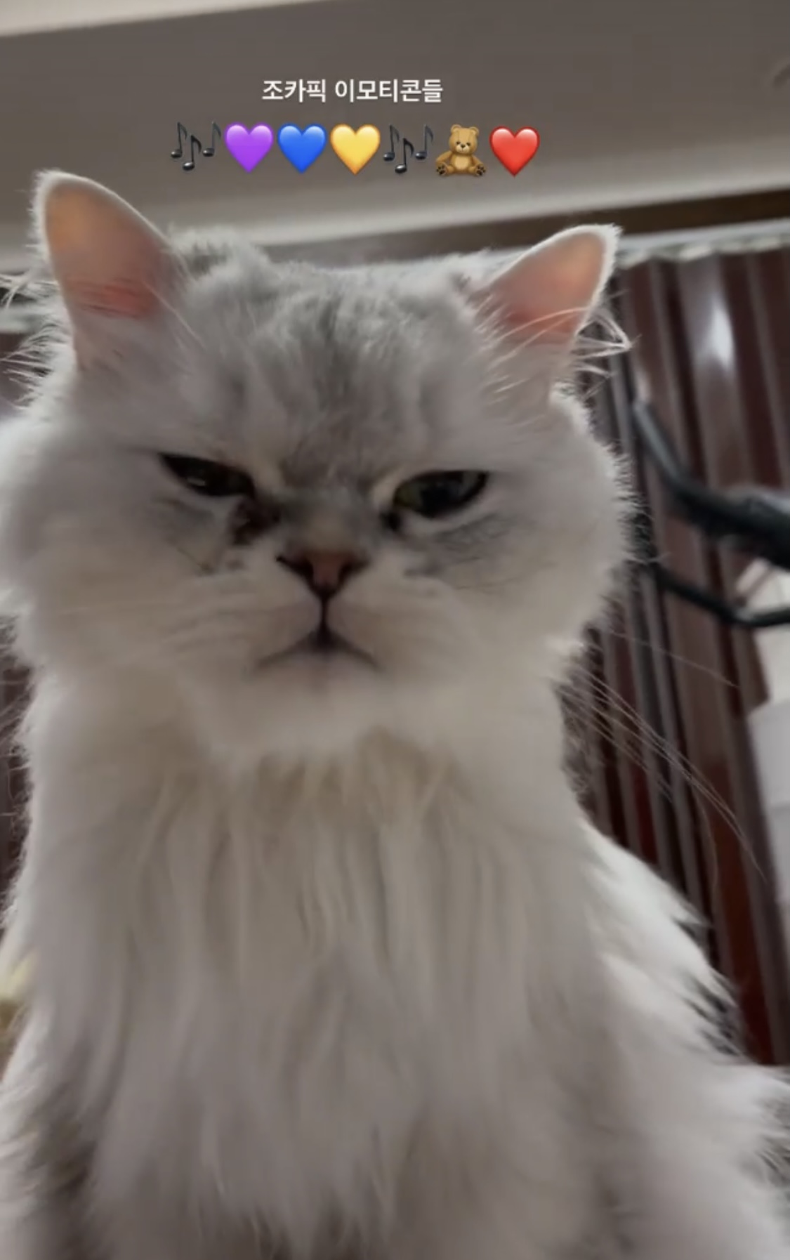 [잡담] 정수빈 왜이렇게 귀엽니 | 인스티즈