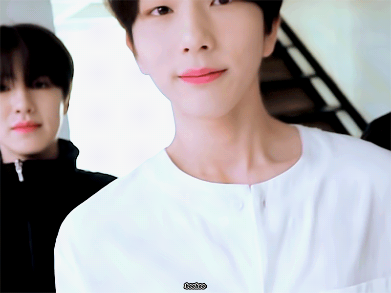 [잡담] 내 본진 고양이 보고 가💚💓 | 인스티즈