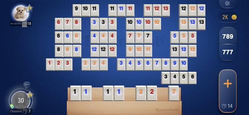 루미큐브 하다가 강아지 만났어 | 인스티즈