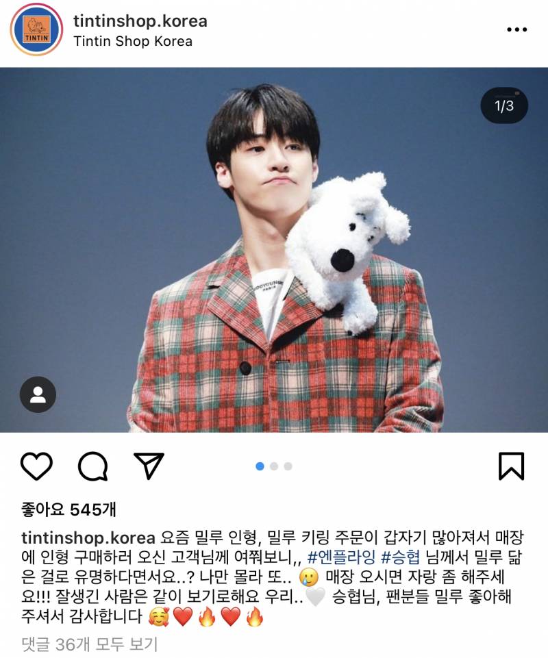 공식샵에서 인정받은 강아지 캐릭터 밀루 닮은꼴 남돌 | 인스티즈